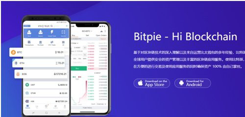 比特派下载之后如何导入私钥顺利提取自己的资产